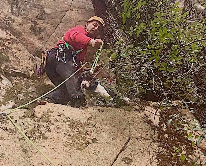 Piana : un chien bloqué sur une paroi rocheuse secouru par les pompiers