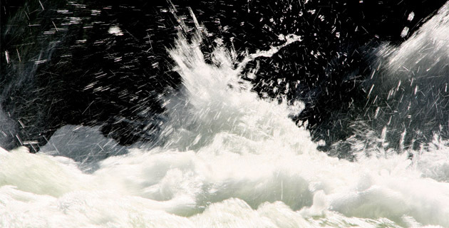 Aleria : "Phusis" à la galerie U Granu Anticu