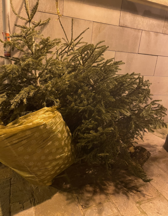 Photo illustration Photo illustration