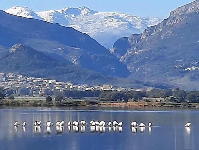 L'étang de Chjurlinu à Biguglia (Michel Gayraud)