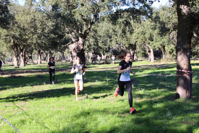 Cross-country : petite reprise à Porto-Vecchio Cross-country : petite reprise à Porto-Vecchio