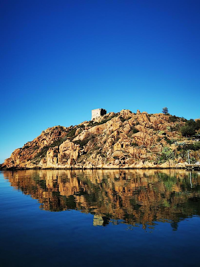 La photo du jour : balade à Porto
