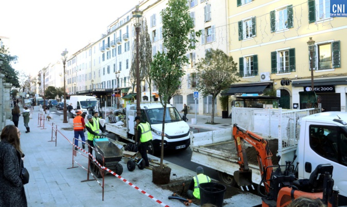 La pose du premier arbre ce lundi 24 janvier - Photo Michel Muccioni La pose du premier arbre ce lundi 24 janvier - Photo Michel Muccioni