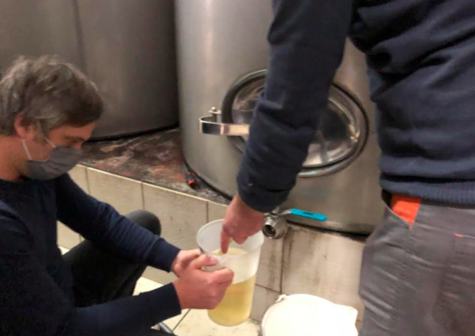 Corse : dans les coulisses des présélections pour le concours général agricole Corse : dans les coulisses des présélections pour le concours général agricole