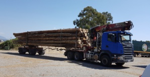 Corse Bois Energie, épinglé par la Chambre régionale des comptes, juge les recommandations peu réalistes Corse Bois Energie, épinglé par la Chambre régionale des comptes, juge les recommandations peu réalistes