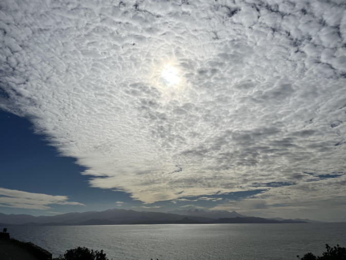 Marine de Canelle (Graziella Gassmann) Marine de Canelle (Graziella Gassmann)