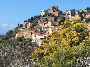La photo du jour : Notre dame des 7 douleurs à Corbara, entre mimosas et amandiers en fleurs 