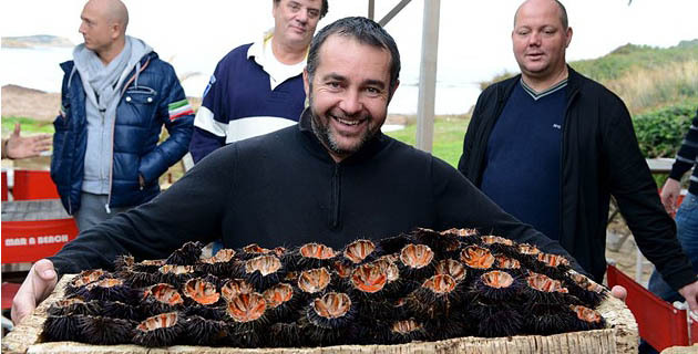Oursinades géantes sur la presqu'île de la Revellata