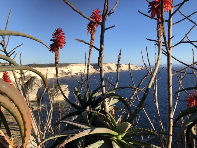La photo du jour : Bonifacio, comme un coin de paradis La photo du jour : Bonifacio, comme un coin de paradis