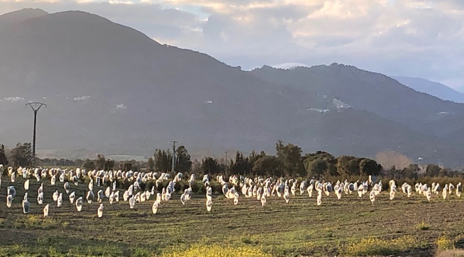 (Photo Jeanne Leboulleux-Leonardi ) (Photo Jeanne Leboulleux-Leonardi )