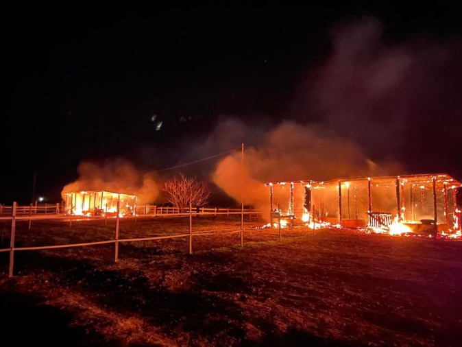 L'actualité corse de la semaine en 7 clics L'actualité corse de la semaine en 7 clics