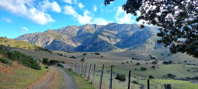 Chjassu di u Cindaraghju in Petralba (Françoise Geronimi)