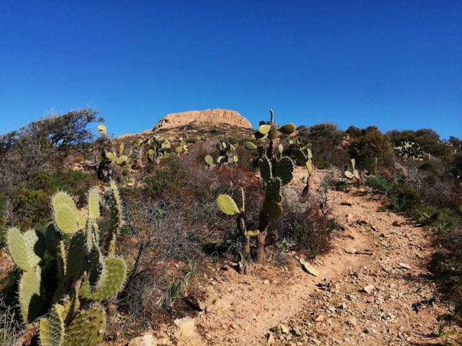 La photo du jour : comme un petit air d'Ouest américain dans l'Agriate