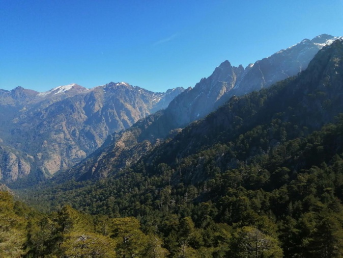 La forêt de Bonifatu et ses géants de granit, observés depuis le col d'Erbaghiolu. (Bernard Chalbos)
