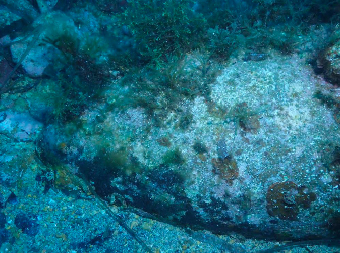 Crédit photo @Premarmed Crédit photo @Premarmed