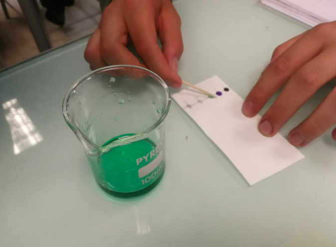 Crédit photo document CNI Crédit photo document CNI