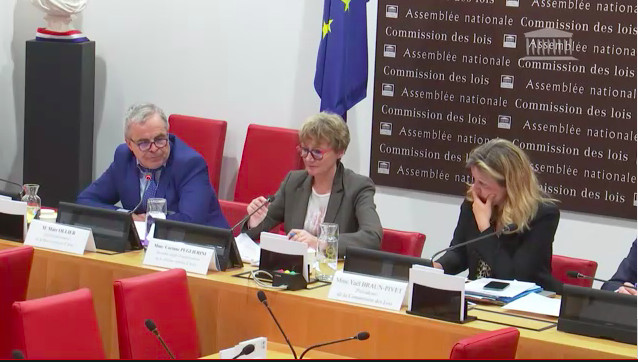 La commission des lois de l'Assemblée nationale a auditionné les deux chefs d'établissement de la centrale d'Arles. Photo : Capture d'écran du site de l'Assemblée nationale