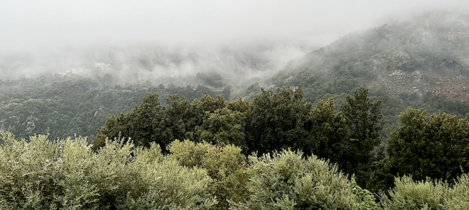 La météo du jeudi 31 mars 2022 en Corse La météo du jeudi 31 mars 2022 en Corse