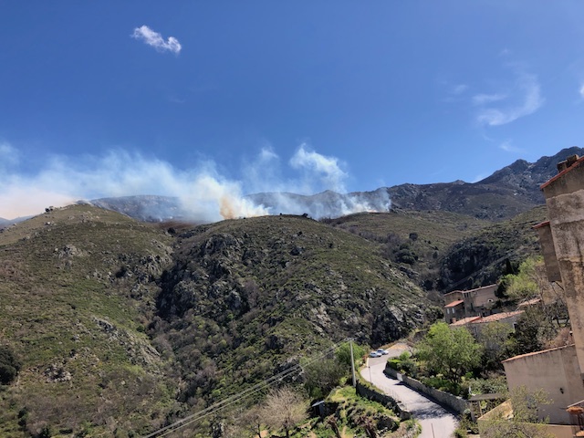 Speluncatu : l'incendie a, déjà, détruit 15 hectares de végétation