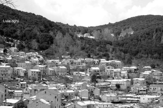 Livia : A tumbera Livia : A tumbera