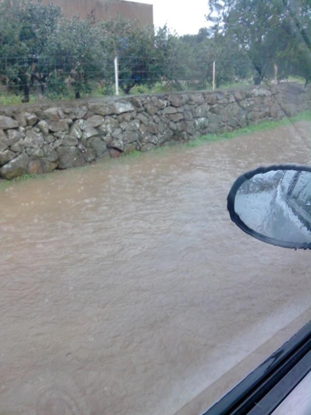Sur la route du Reginu à Occhiatana (Photos O.C) Sur la route du Reginu à Occhiatana (Photos O.C)