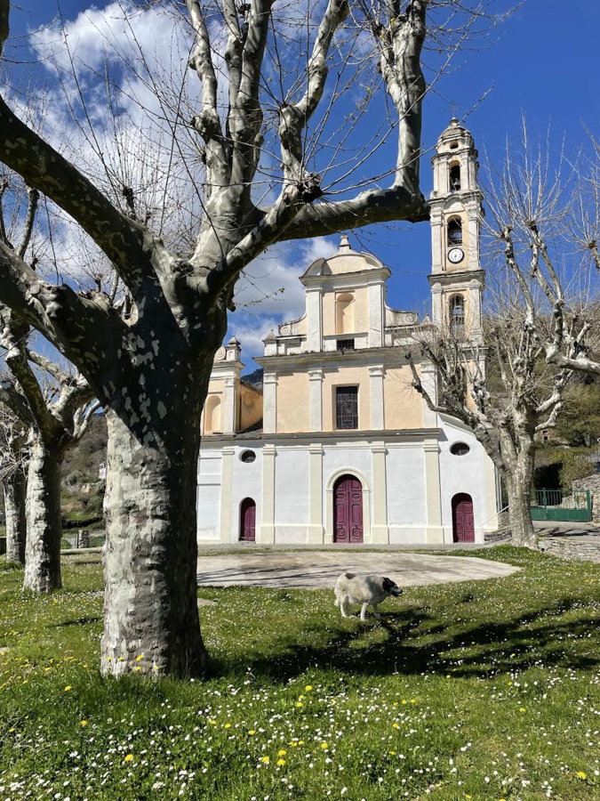 La photo du jour : A ghjesgia di A Petra di Verde incu a so ´ piezza fiurita La photo du jour : A ghjesgia di A Petra di Verde incu a so ´ piezza fiurita