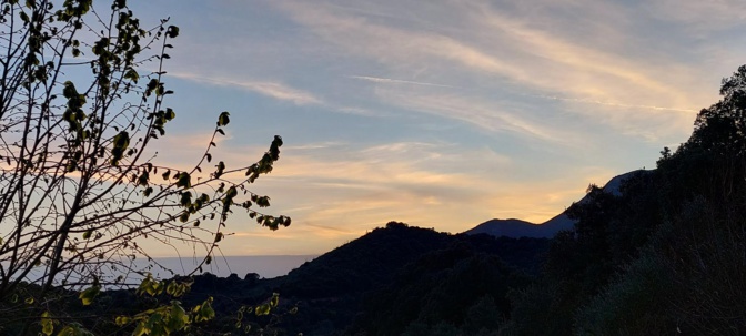 (Françoise Geronimi) (Françoise Geronimi)