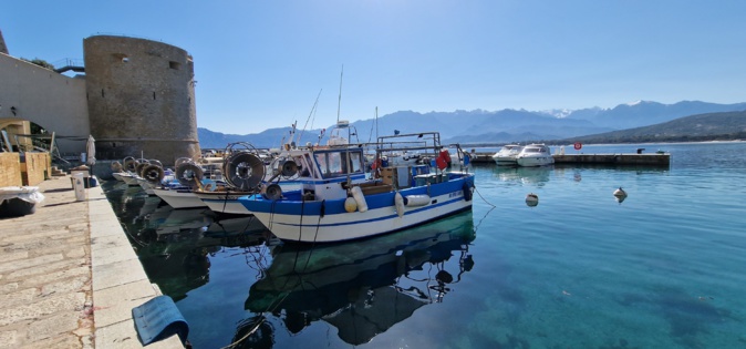 La photo du jour : le port de Calvi et le Monte Grossu