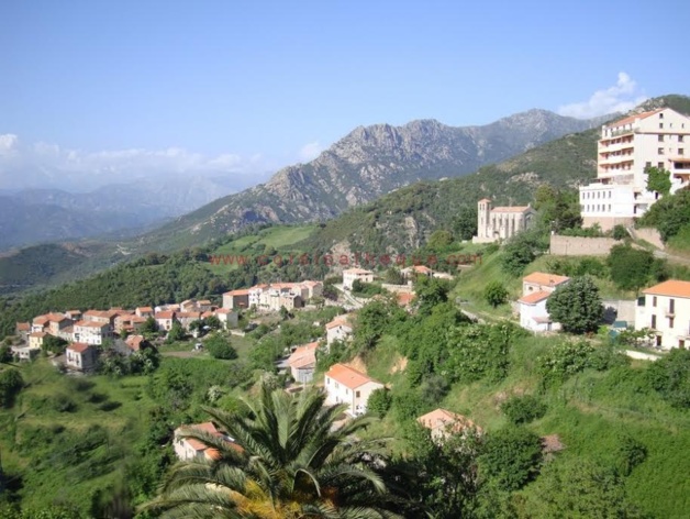 Cutuli e Curtichjatu-liste « Insemi » : Une voie nouvelle qui rompt avec la « pulitichella » Cutuli e Curtichjatu-liste « Insemi » : Une voie nouvelle qui rompt avec la « pulitichella »