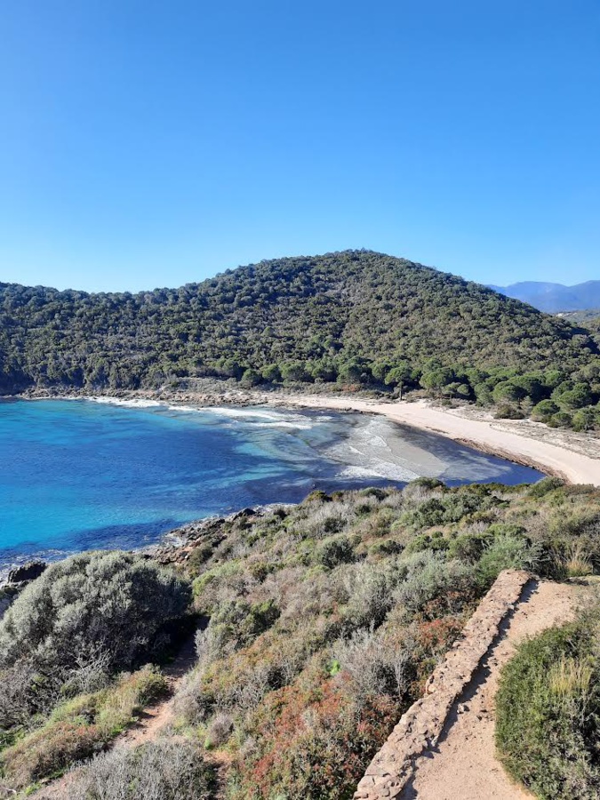 Fautea sous le soleil (Michel Gayraud) Fautea sous le soleil (Michel Gayraud)