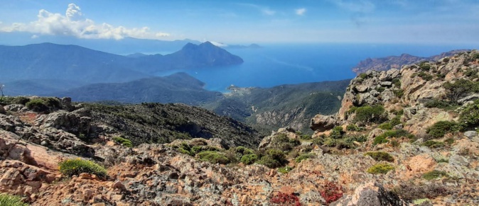 La photo du jour : le golfe de Ghjirulatu vu du Capu Licchia La photo du jour : le golfe de Ghjirulatu vu du Capu Licchia