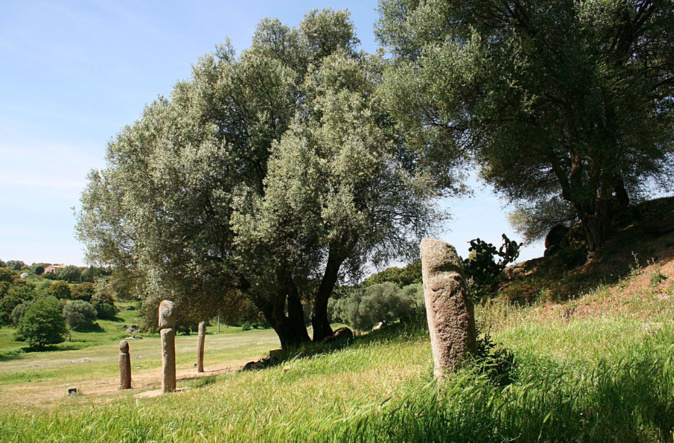 Photo Wikipedia Photo Wikipedia