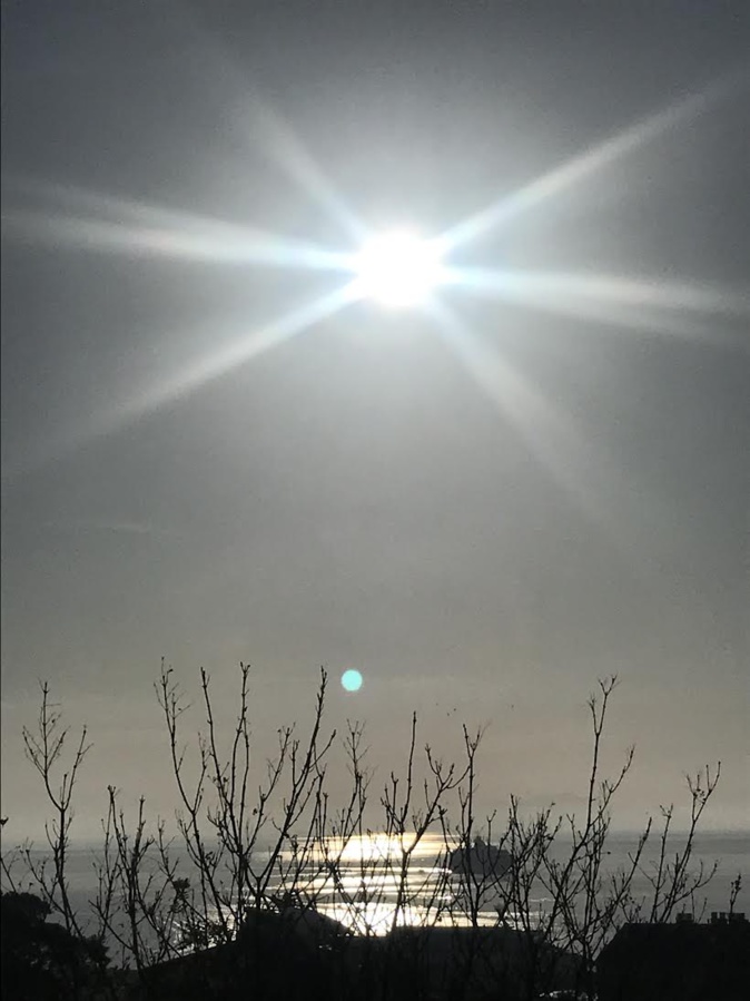 Alexandra Marchetti Alexandra Marchetti