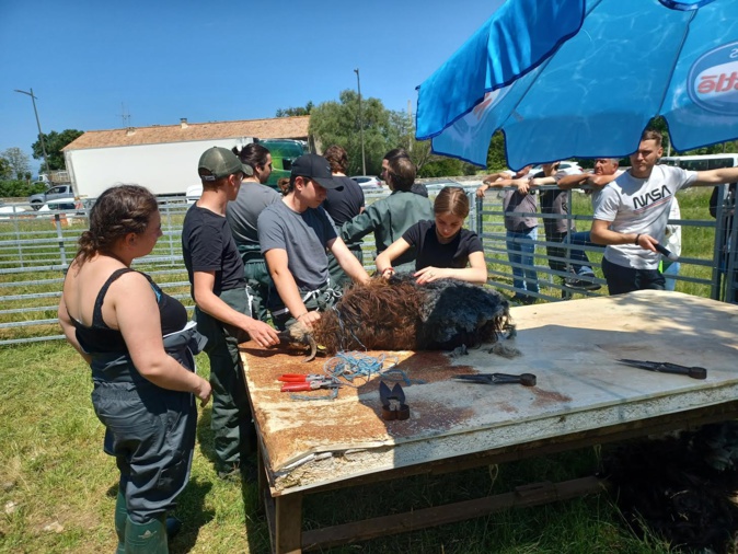 Démonstration et initiation à la tundera. Démonstration et initiation à la tundera.