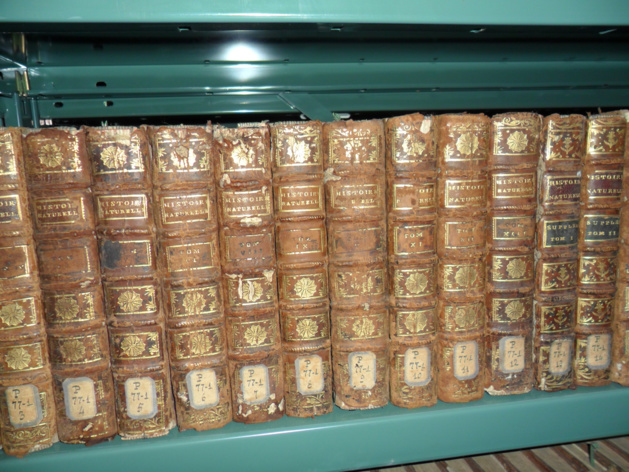 Bastia : "Livre voyageur" un projet du Lycée Jean-Nicoli 