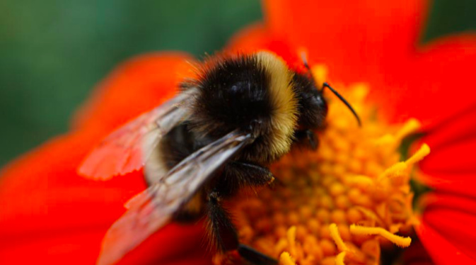 Photo illustration Photo illustration