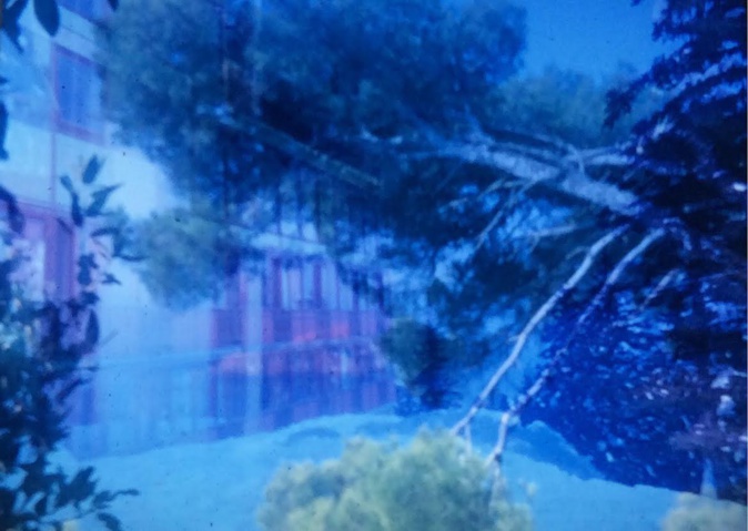 Alexandra Villani expose au Collège de Montesoro Alexandra Villani expose au Collège de Montesoro