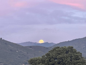 La photo du jour : coucher de… Lune sur la route de San Lurenzu