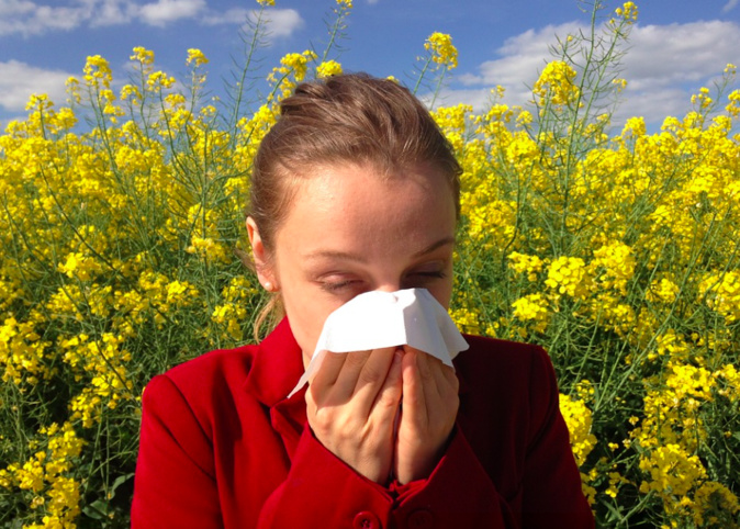 Photo illustration Pixabay Photo illustration Pixabay