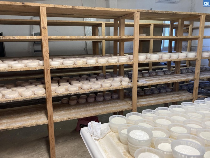 L'opération "Guste è Salute" à l'Erea d'Ajaccio pour "concilier une alimentation plaisir avec une alimentation saine" L'opération "Guste è Salute" à l'Erea d'Ajaccio pour "concilier une alimentation plaisir avec une alimentation saine"