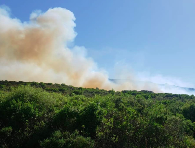 Photo Core in Fronte Photo Core in Fronte