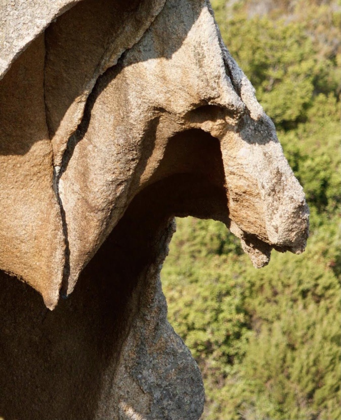 La photo du jour : le cheval de Roccapina La photo du jour : le cheval de Roccapina