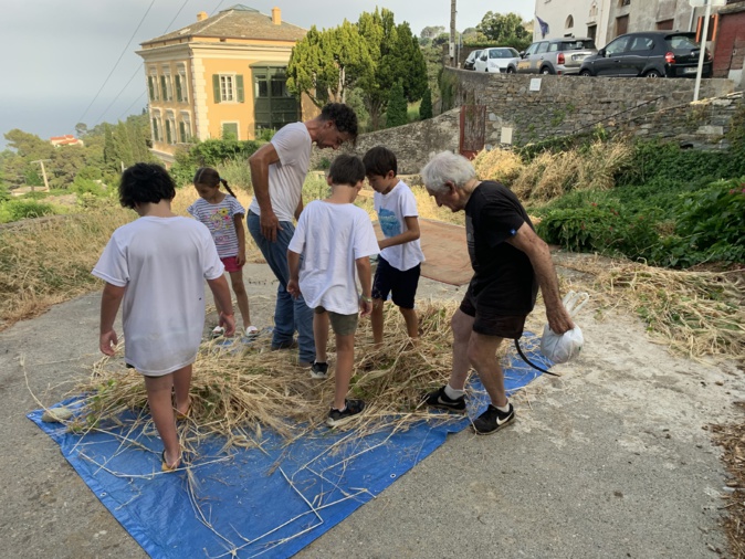 Moisson à l'ancienne à Cardo Moisson à l'ancienne à Cardo