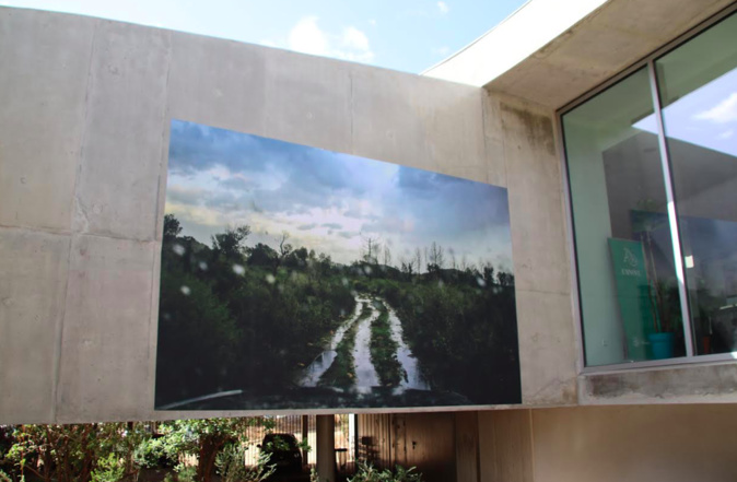 Portivechju : U primu baronu di l'Animu Portivechju : U primu baronu di l'Animu