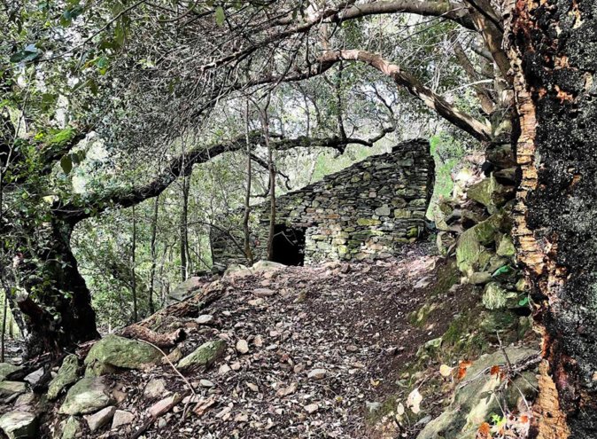 Document CNI Document CNI