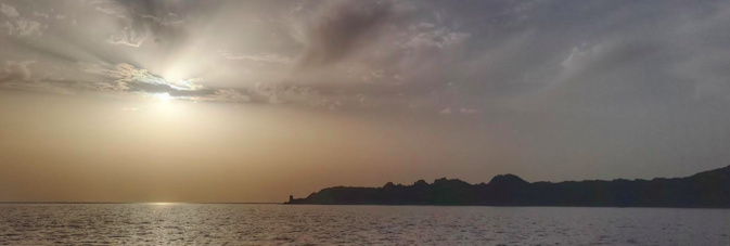 Pascal Le Dervouët Pascal Le Dervouët