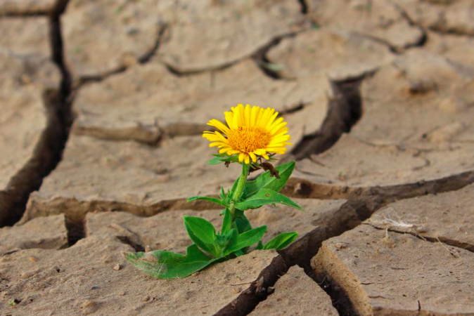 Photo Illustration Photo Illustration