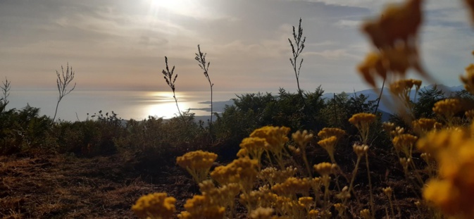 La photo du jour : A Muredda è Saone… La photo du jour : A Muredda è Saone…