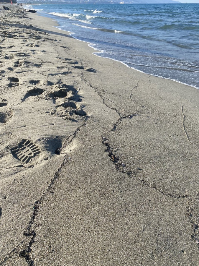 Des résidus d’hydrocarbure sur les plages de Furiani Des résidus d’hydrocarbure sur les plages de Furiani
