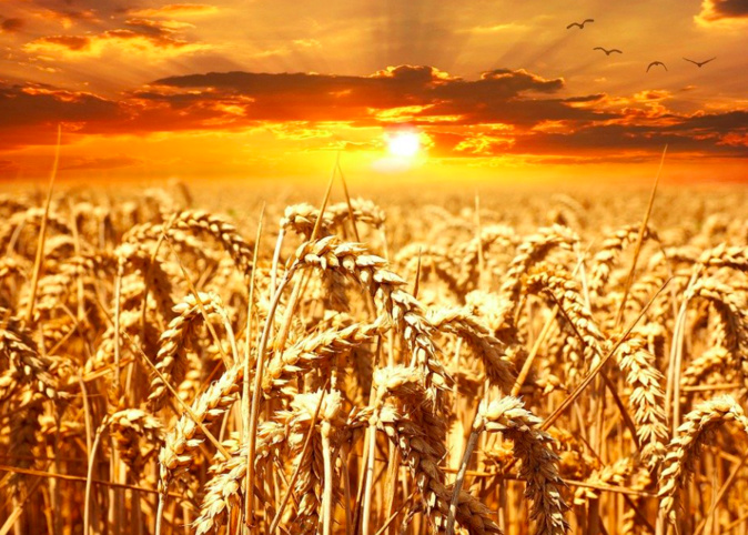 Photo illustration Photo illustration